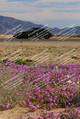 media/Jan-08-2023-SCCA SD (Sun) [[8f6a5b9391]]/Intermediate Group/Session 2 (Short Straight)/